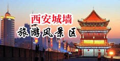 欧美大吊操中国陕西-西安城墙旅游风景区